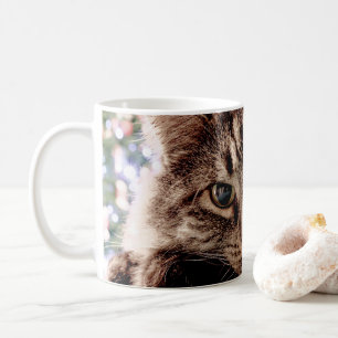 Mug Maine Coon Cat