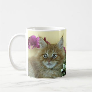 Mug Maine Coon kitten