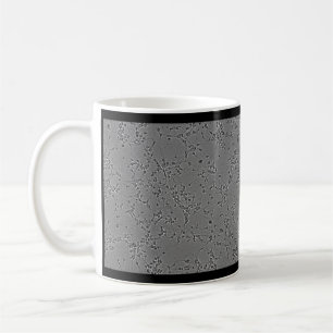 mug neurons