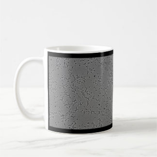 mug neurons