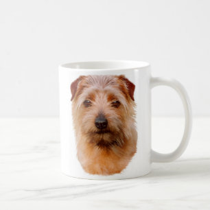 Mug : Norfolk terrier