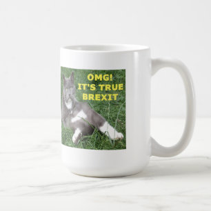 Mug OMG Its True Brexit