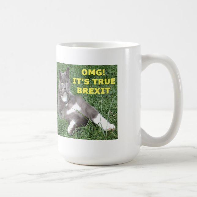 Mug OMG Its True Brexit (Right)