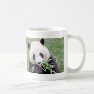Mug Photo giant panda , animals 0267.