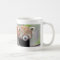 Mug Photo red panda , animals 0399.