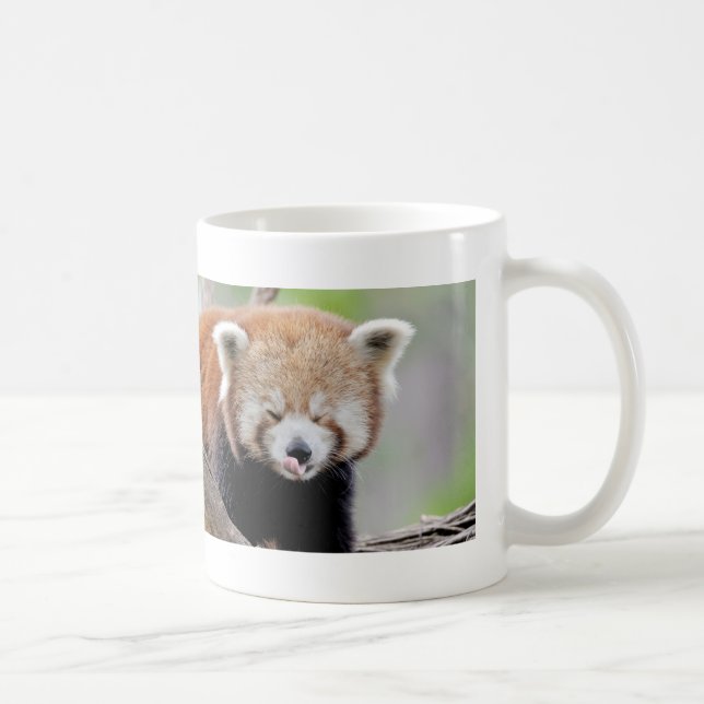 Mug Photo red panda , animals 0399. (Right)