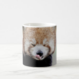 Mug Photo red panda , animals . coffee mug
