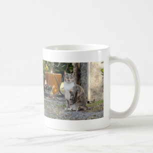 Mug. photo street cat , cat.  coffee mug