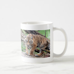 Mug. photo tiger , cat. coffee mug