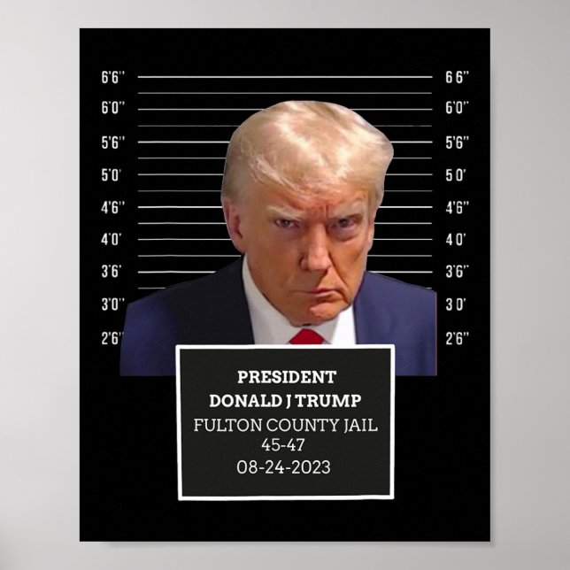 Mug Shot President Donald J Trump Mugshot 2023 Fun Poster (Front)