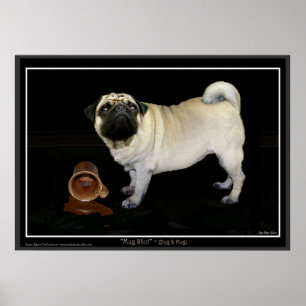 "MUG SHOT" Pug Poster