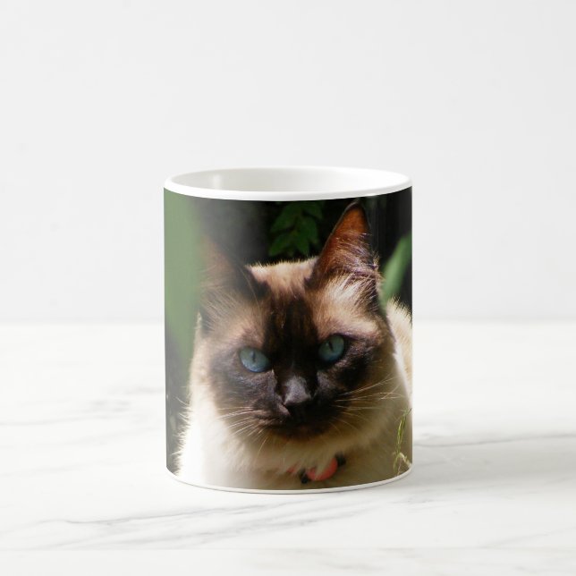 Mug with beautiful cat (Center)