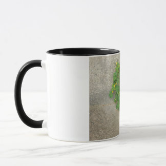 mug with natural clover heart design