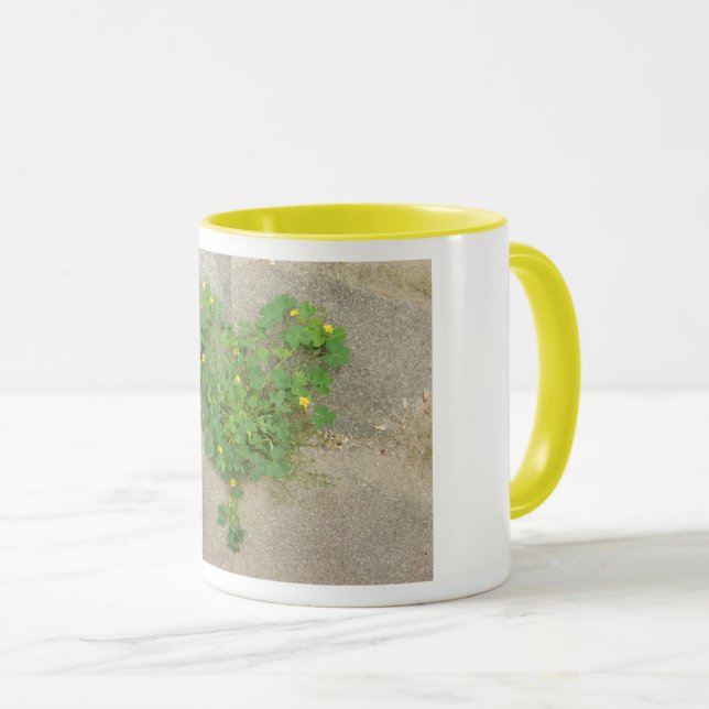 Mug with origina photo of heart shaped clover (Front Right)