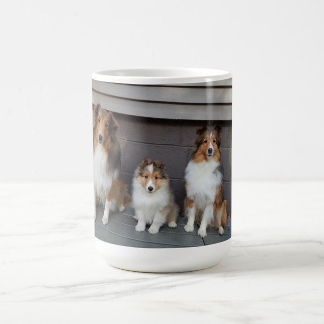 Mug with original photo 3 Shelties (Center)