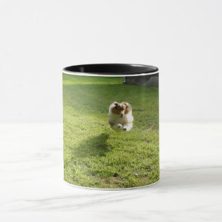 Mug with original photo of leaping Sheltie