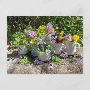 Muggy summer postcard dh2022