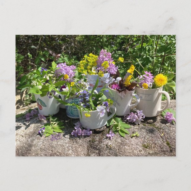 Muggy summer postcard dh2022 (Front)