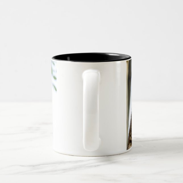 Mugs & Cups (Handle)