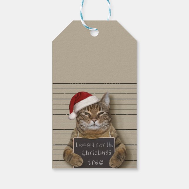 Mugshot Cat Christmas Gift Tags (Back)