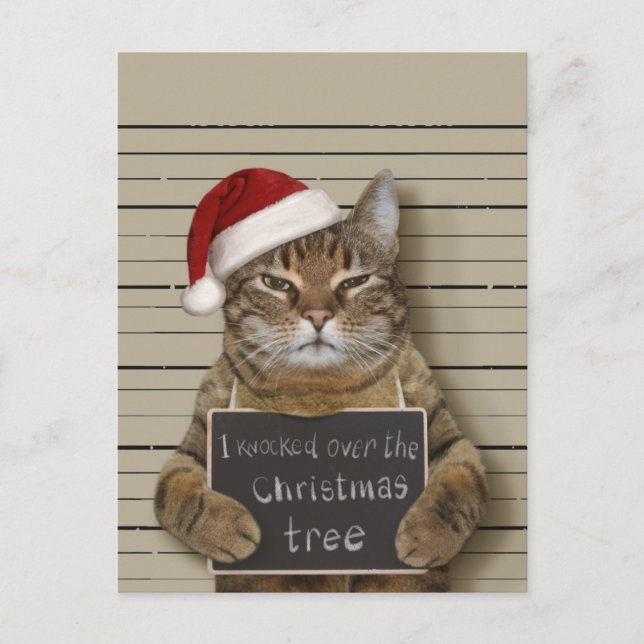 Mugshot Cat Christmas Postcard (Front)
