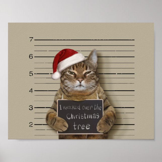Mugshot Cat Christmas Poster (Front)