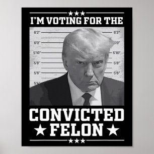 Mugshot Vote For The Felon Trump 2024 Trump Convic Poster