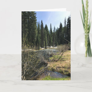 Muir Creek, Oregon Card