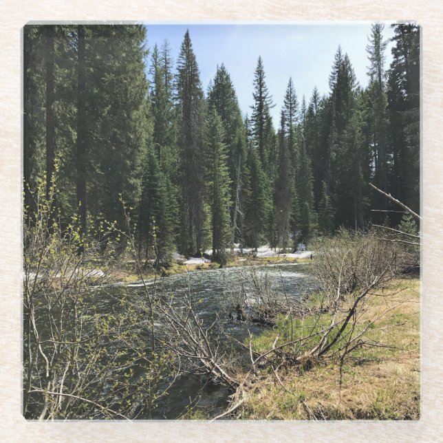 Muir Creek, Oregon Glass Coaster (Front)