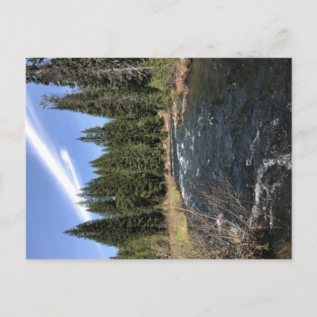 Muir Creek, Oregon Postcard (Front)