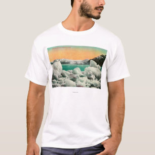 Muir Glacier and Icebergs in Alaska #1State T-Shirt