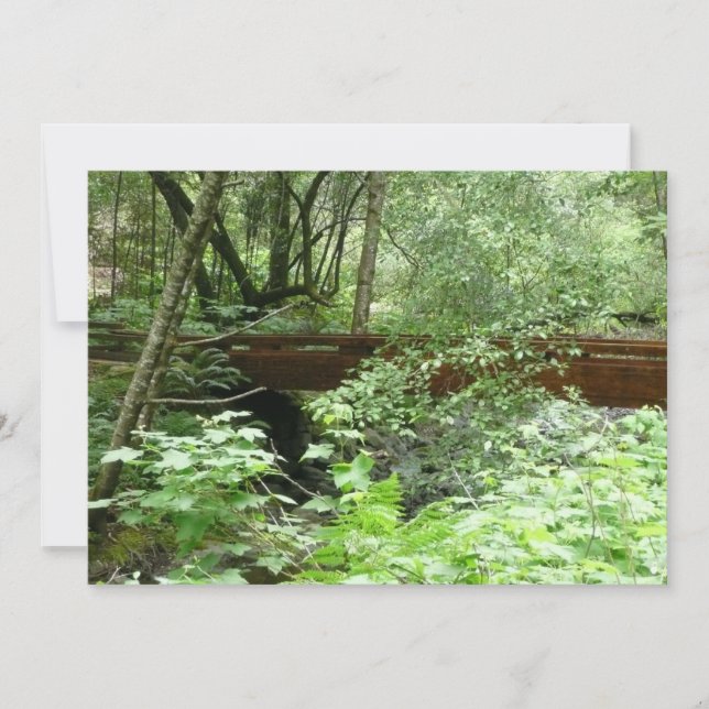Muir Woods Bridge I Card (Front)