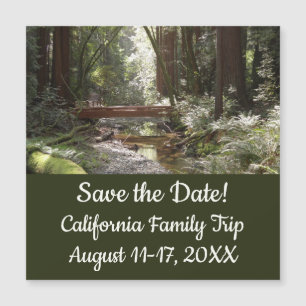 Muir Woods Bridge II