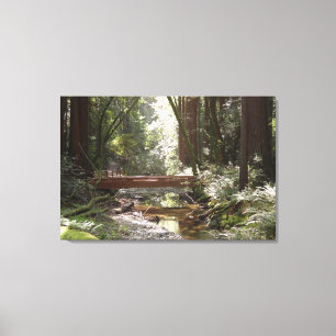 Muir Woods Bridge II Canvas Print