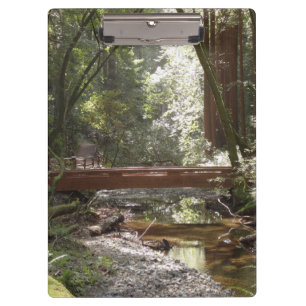 Muir Woods Bridge II Clipboard