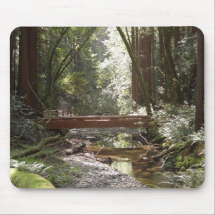 Muir Woods Bridge II Mouse Mat