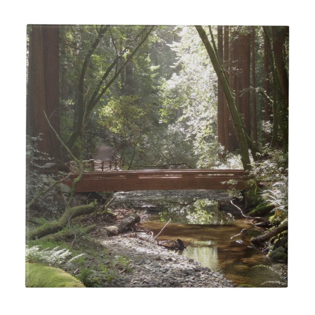 Muir Woods Bridge II Tile (Front)