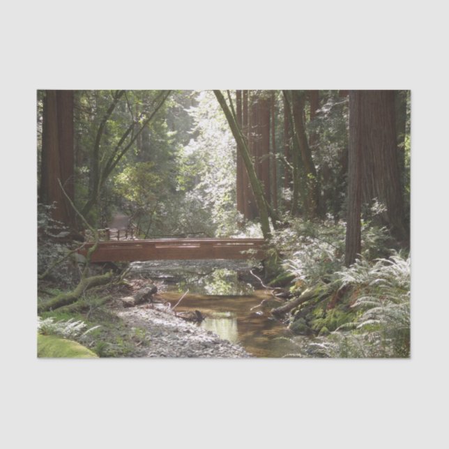 Muir Woods Bridge II Tissue Paper (Front)