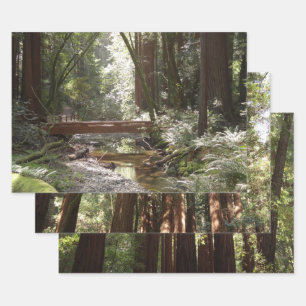 Muir Woods Bridge II Wrapping Paper Sheet