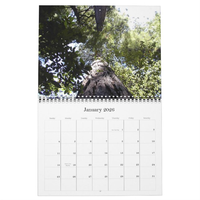 Muir Woods Calendar (Jan 2026)
