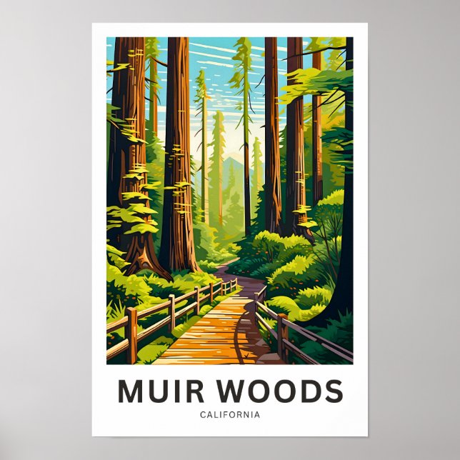 Muir Woods California Travel Print (Front)