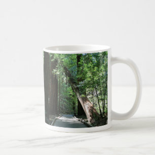 "Muir Woods" Coffee Mug