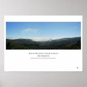 "Muir Woods From Above" Poster