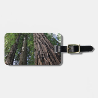 Muir Woods Luggage Tag
