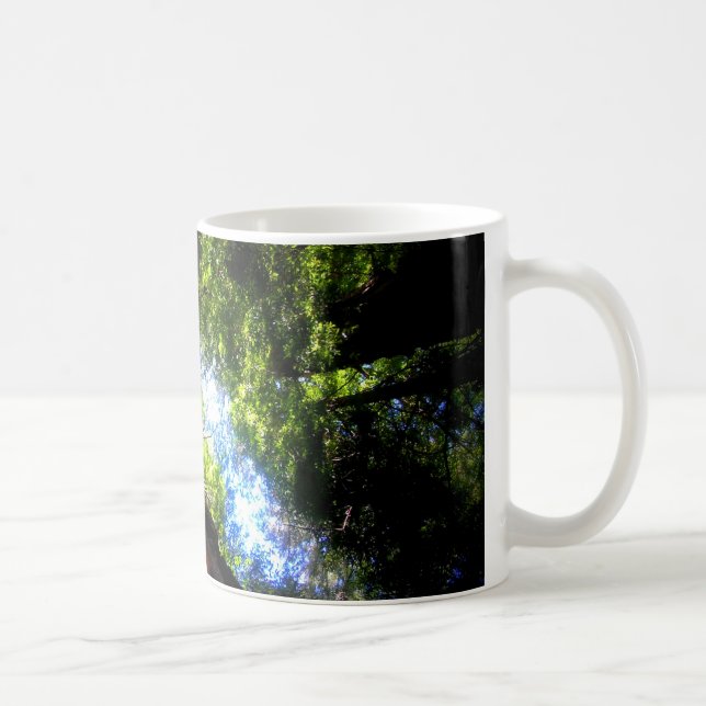 Muir Woods Mug (Right)