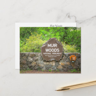 Muir Woods National Monument – California Redwood  Postcard