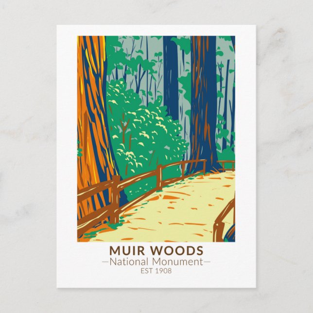 Muir Woods National Monument California Vintage Postcard (Front)