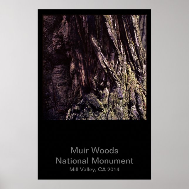 Muir Woods National Monument Colour (Dark) Poster (Front)