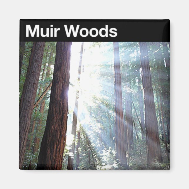 Muir Woods National Monument Magnet (Front)