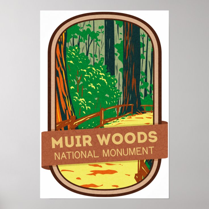 Muir Woods National Monument Poster Zazzle